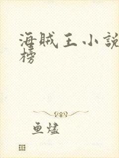 海贼王小说排行榜