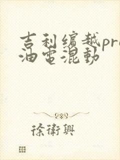 吉利缤越pro油电混动 吉利缤越pro油电混动