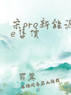 宋pro新能源e售价