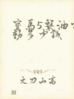 宝马5系油电混动多少钱