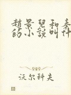 赵景儿和秦慕修的小说叫什么