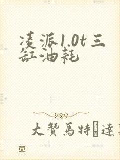 凌派1.0t三缸油耗
