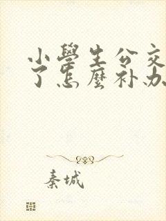 小学生公交卡丢了怎么补办