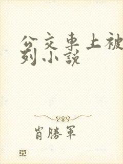 公交车上被强系列小说
