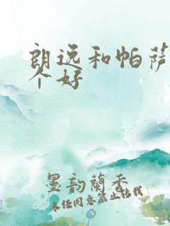 朗逸和帕萨特哪个好