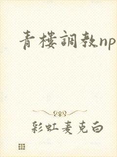 青楼调教nph
