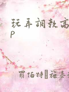 玩弄调教高hnp