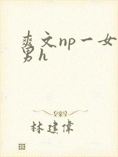 爽文np一女多男h