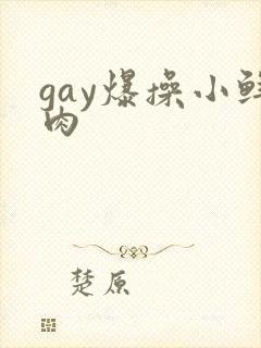 gay爆操小鲜肉