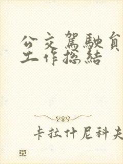 公交驾驶员个人工作总结