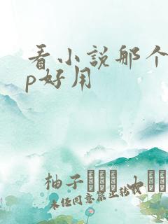看小说那个app好用