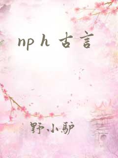 np h 古言