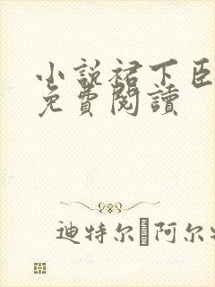 小说裙下臣全文免费阅读