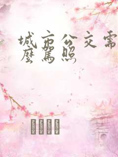 城市公交需要什么驾照