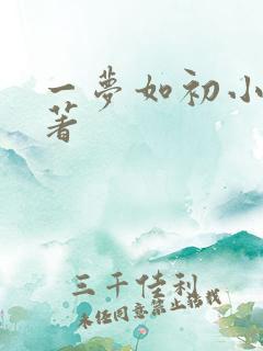 一梦如初小说原著