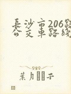 长沙市206路公交车路线图