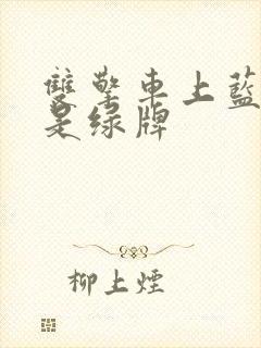 双擎车上蓝牌还是绿牌
