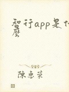 智行app是什么