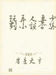 玩弄人妻少妇系列小说合集