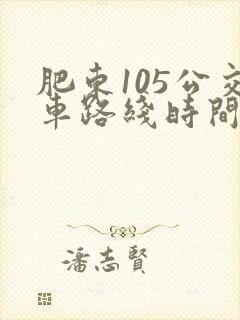 肥东105公交车路线时间表