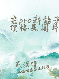 宋pro新能源价格及图片报价