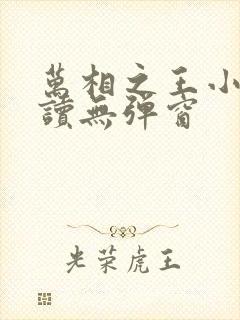 万相之王小说阅读无弹窗 万相之王小说阅读无弹窗