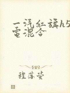 一汽红旗h5油电混合
