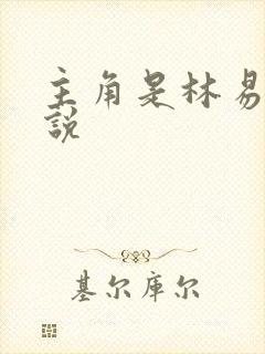 主角是林易的小说