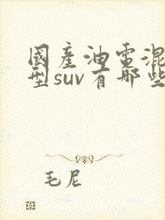 国产油电混合车型suv有哪些 国产油电混合车型suv有哪些