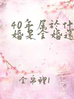 40年属于什么婚是金婚还是银婚