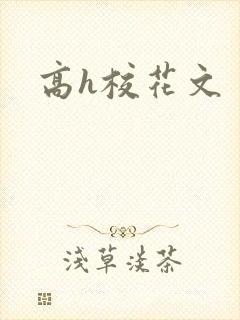 高h校花文