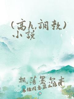 (高h,调教)小说