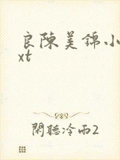 良陈美锦小说txt