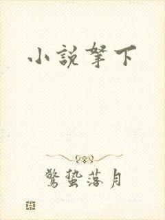 小说拿下