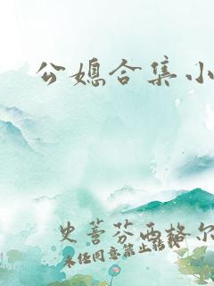 公媳合集小说