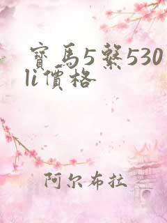 宝马5系530li价格