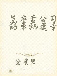 怎么查公司名下的车辆违章