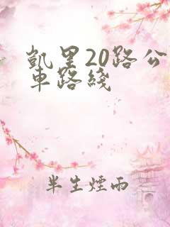 凯里20路公交车路线