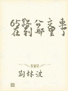 65路公交车现在到哪里了