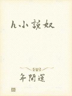h小说奴
