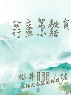 公交驾驶员安全行车小结