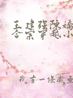 王建强陈娇娇和合宗穿越小说免费阅读