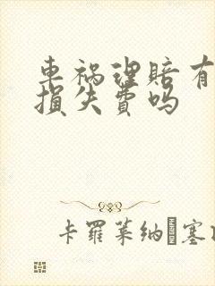 车祸理赔有精神损失费吗