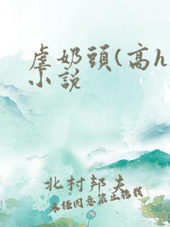 虐奶头(高h)小说