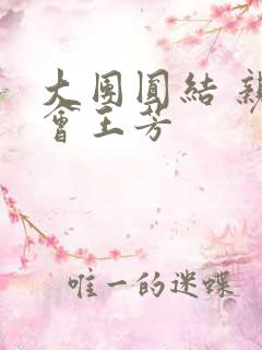 大团圆结 亲情会王芳