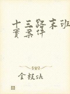 十三路末班车真实案件