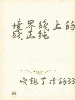 境界线上的地平线正纯