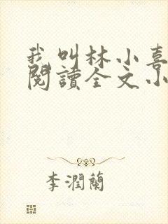 我叫林小喜免费阅读全文小说