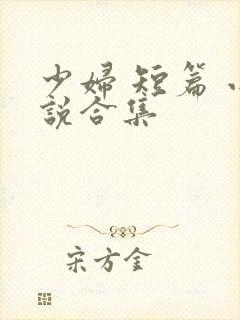 少妇 短篇 小说合集