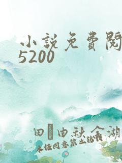 小说免费阅读网5200